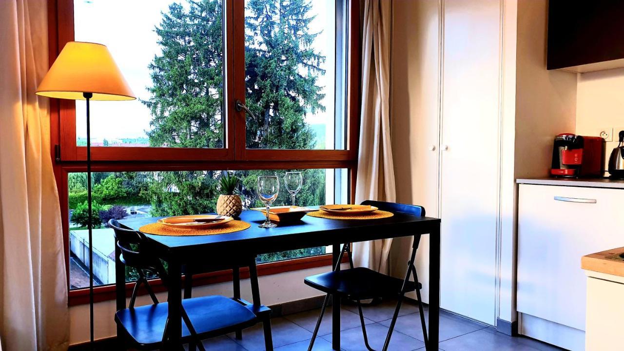 阿讷西Le Bellevue A 10Min Du Centre A Pied公寓 外观 照片