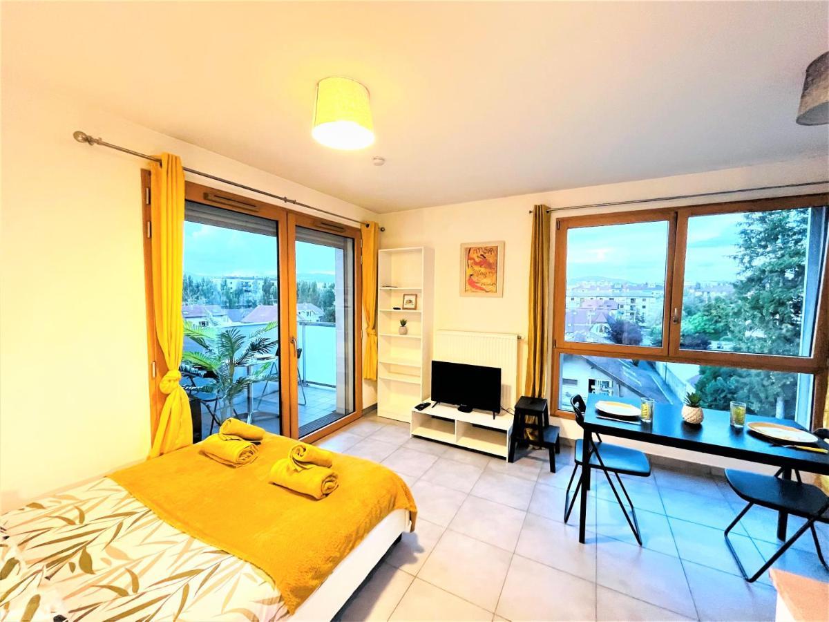 阿讷西Le Bellevue A 10Min Du Centre A Pied公寓 外观 照片